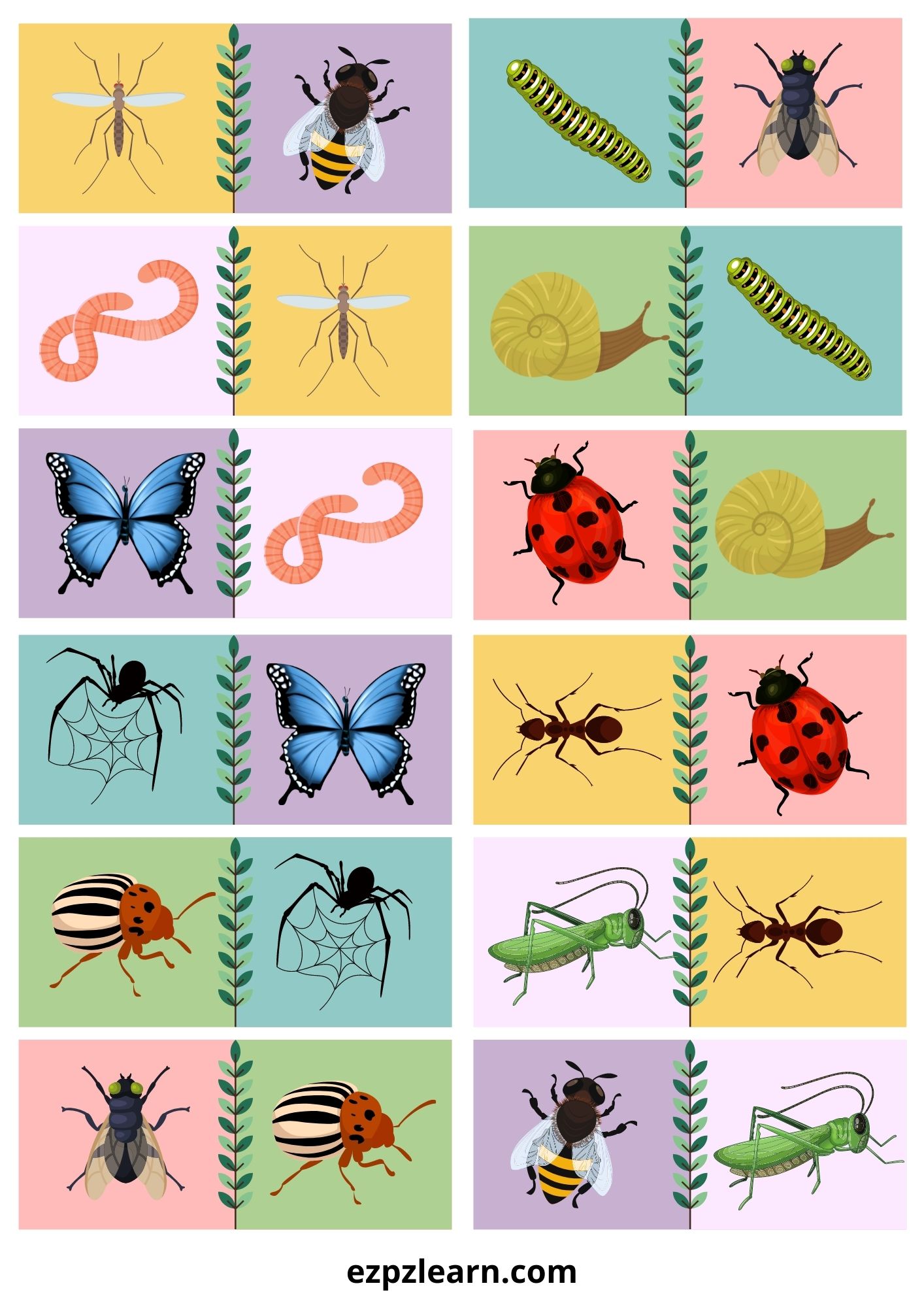 Insects Dominoes Game With Images